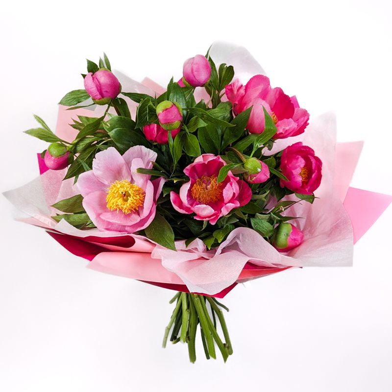 Bouquet of pink peonies (10 pcs)