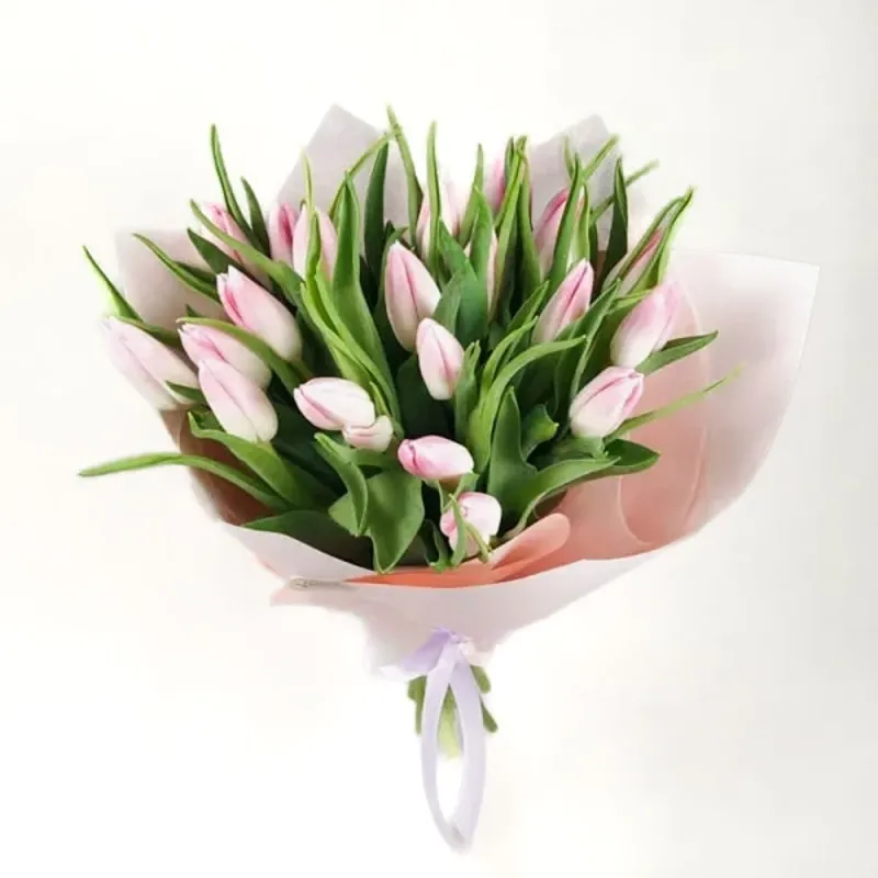 Tulips pink (21 pc.)