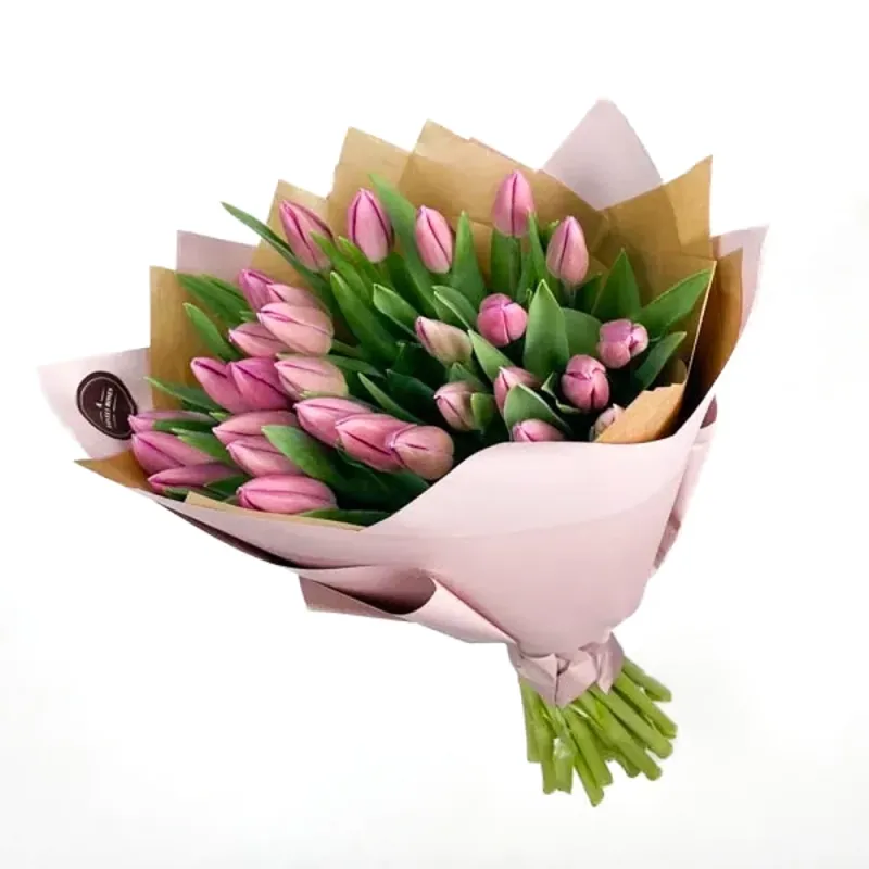 Tulips pink (31 pc.)