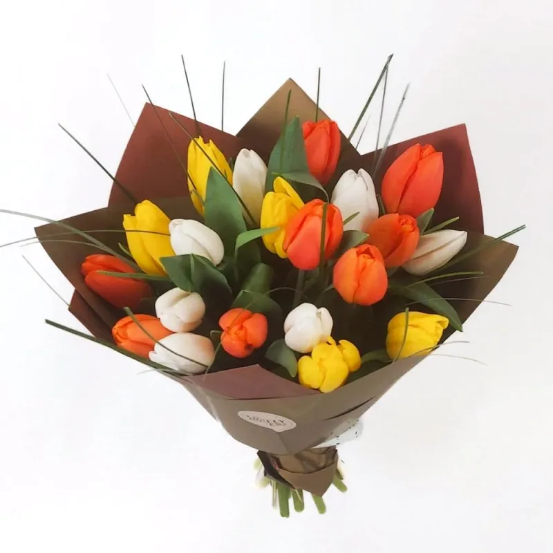 Tulips multicolored (select from 22 to 51)