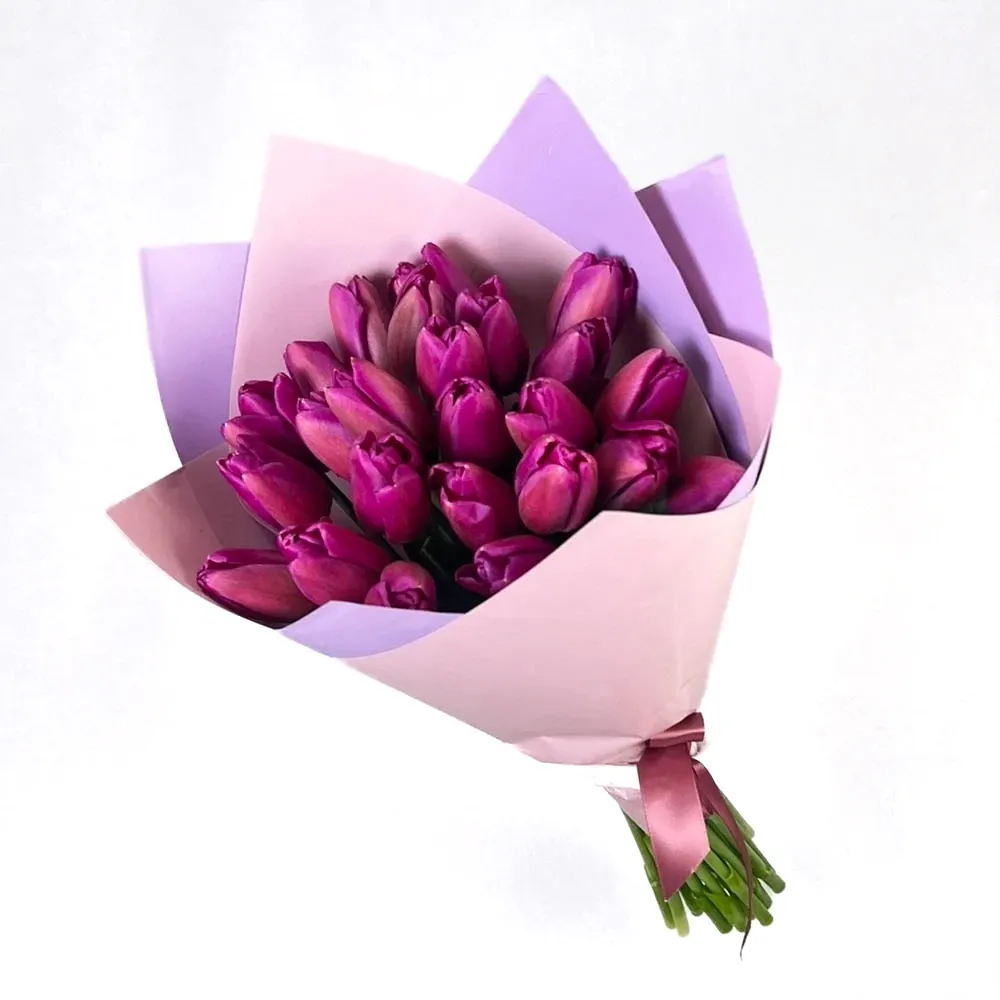 Bouquet of violet tulips (25 tulips)