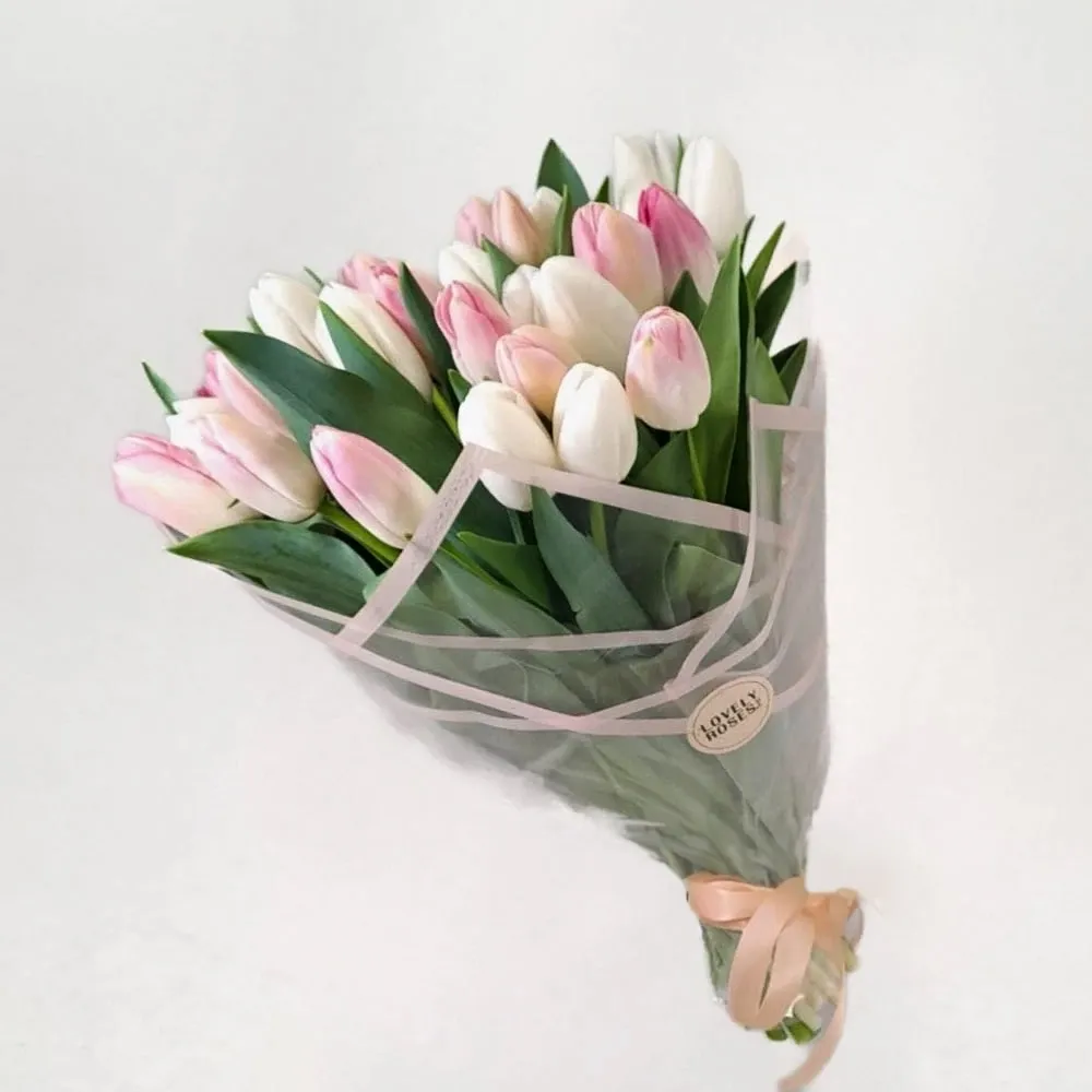Tulips pink (25 pc.)