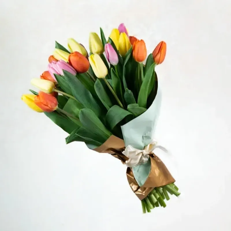 Dutch tulips (25pc)
