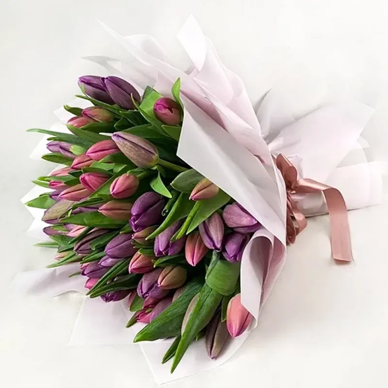 Bouquet of purple-pink tulips (60 stems)
