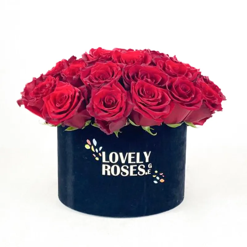 Red roses in a round velvet box ( 31 roses)
