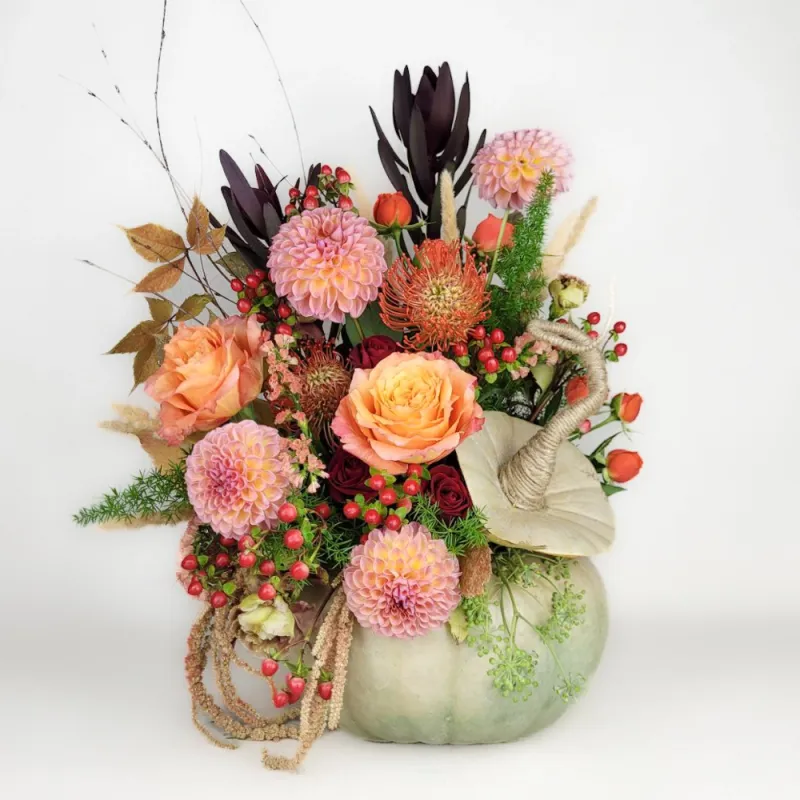 Composition of bright colors in pumpkin B2