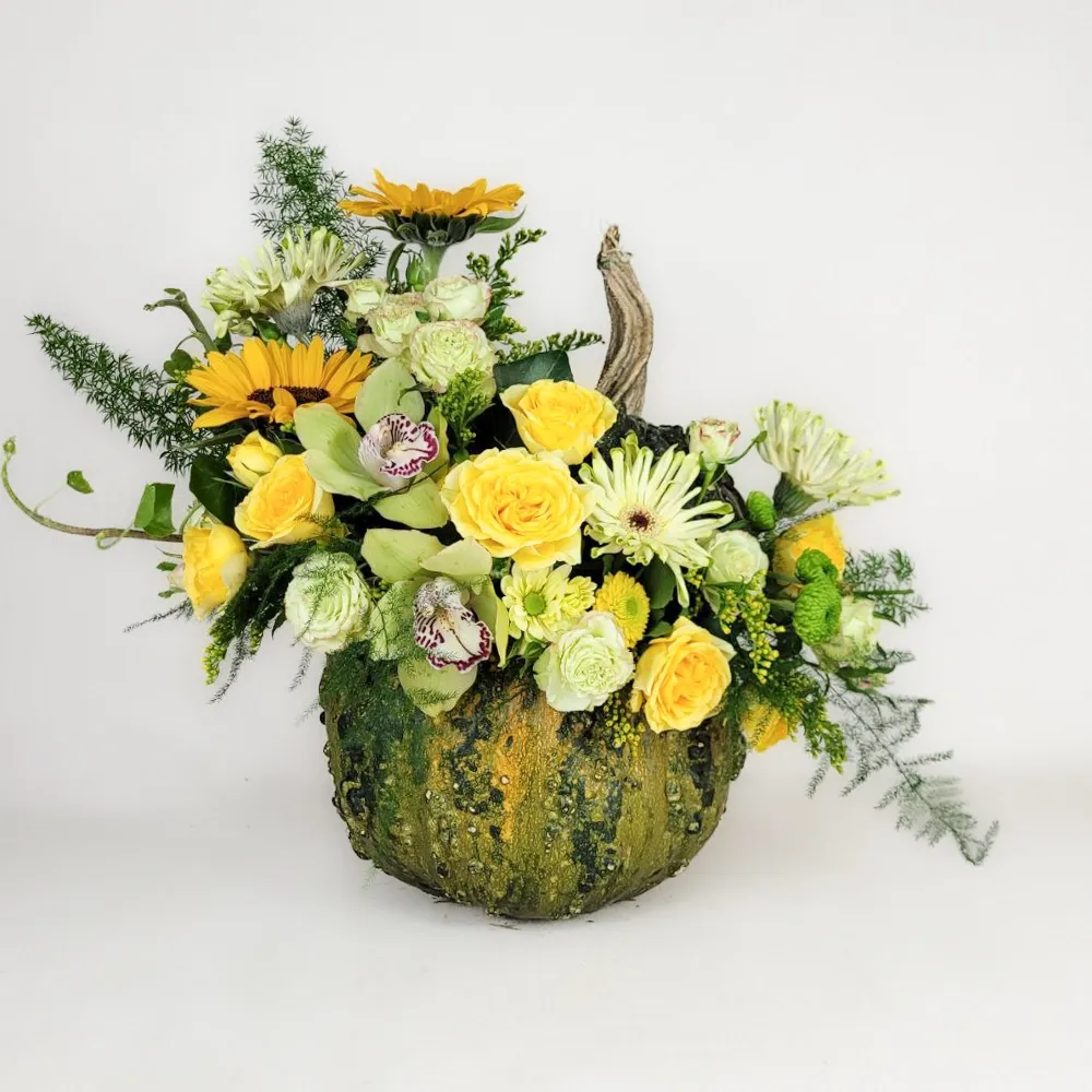Bright composition in pumpkin B3