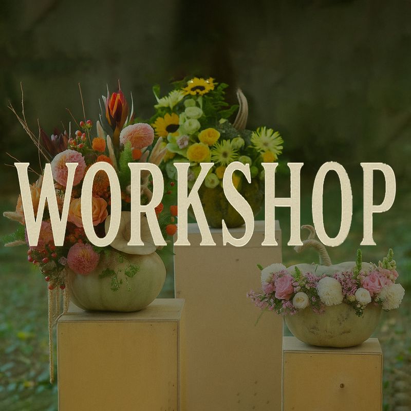 Halloween workshop