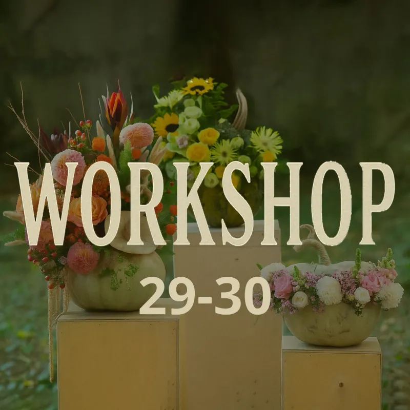 Halloween workshop