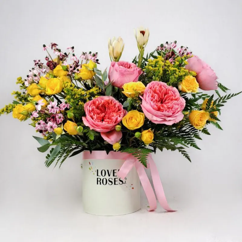 Композиция B1