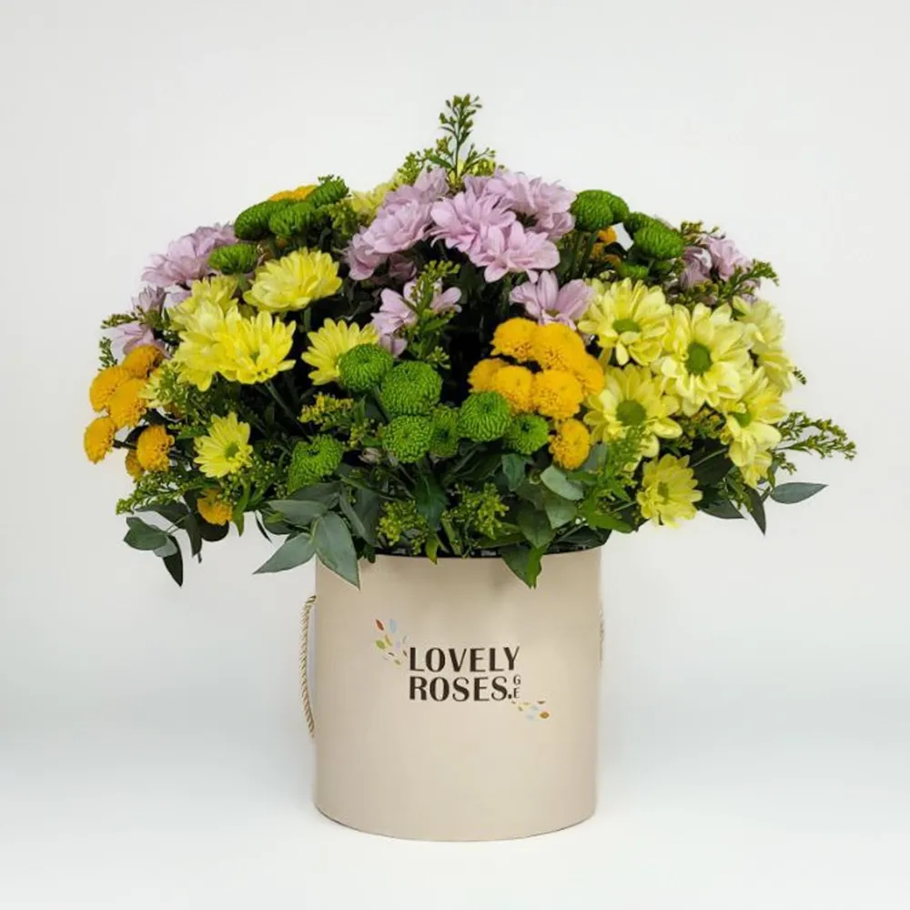 Composition of colorful chrysanthemums