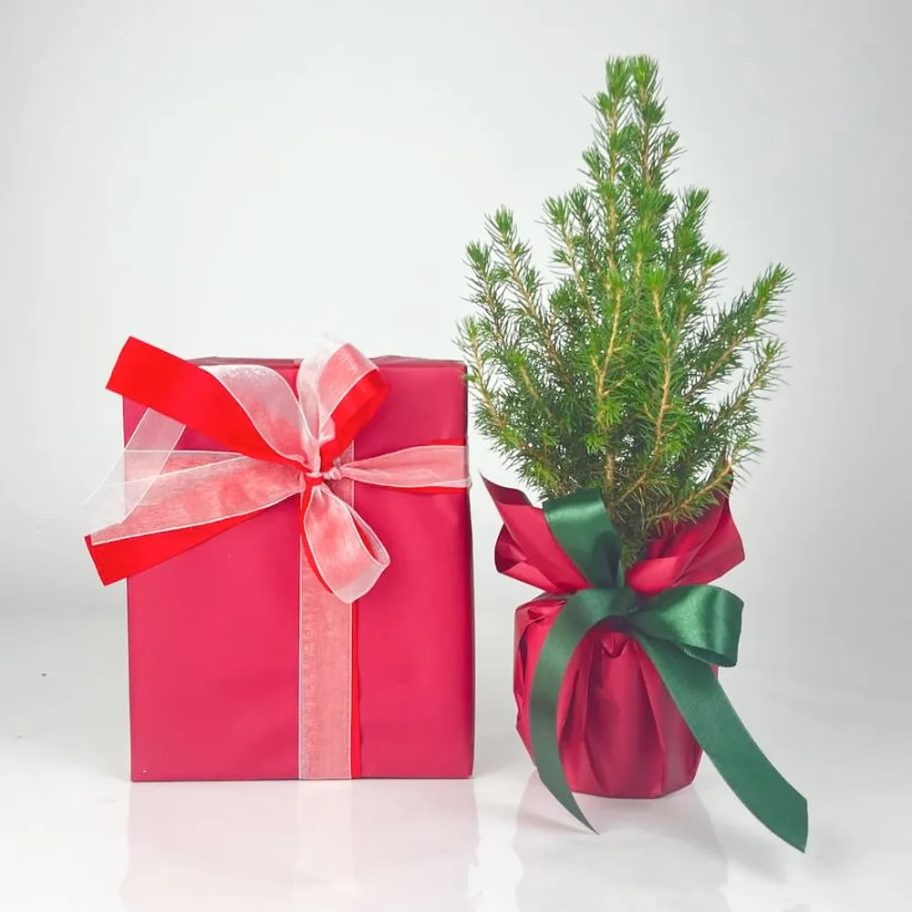 Маленькая рождественская елочка с Ferrero