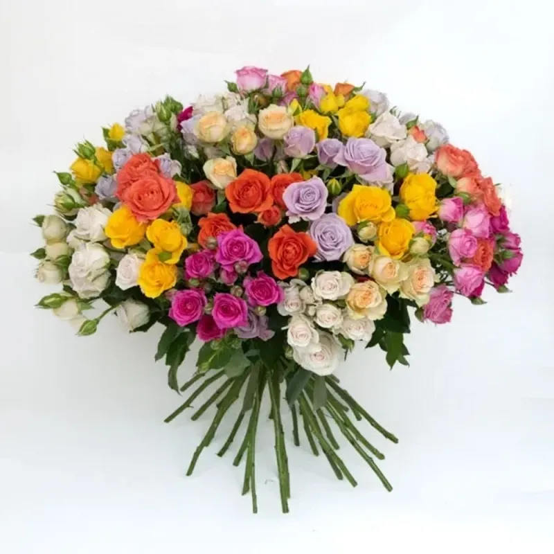 Bright spray roses bouquet (30 pc.)