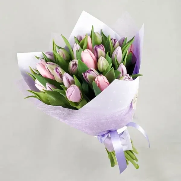 Dutch tulips (25pc)