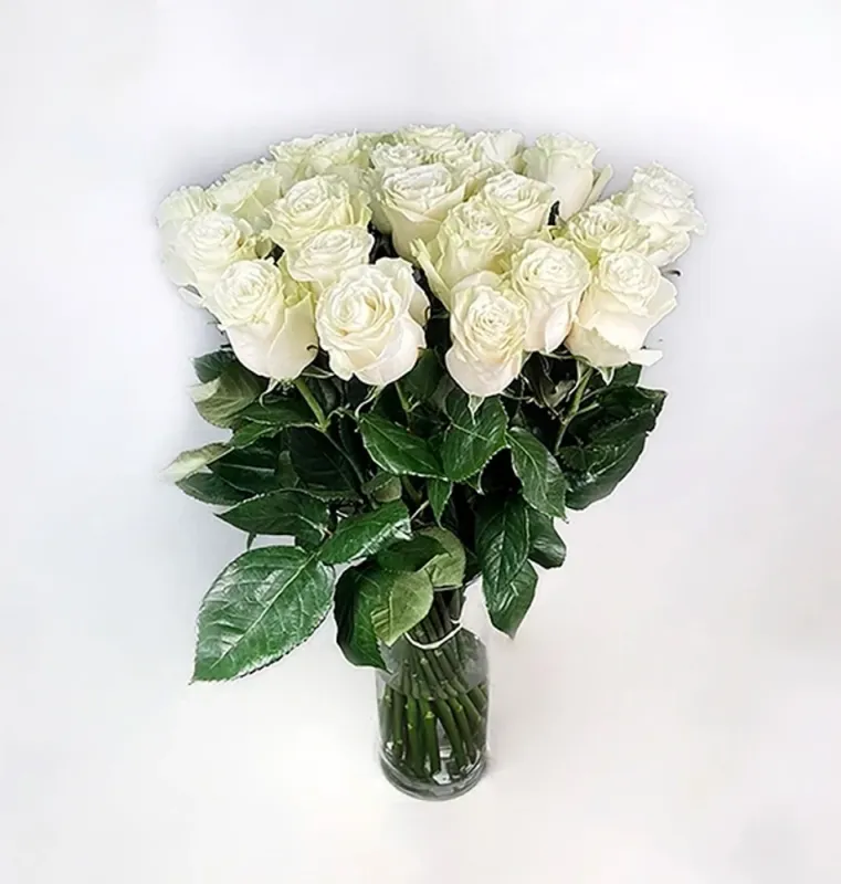 Tall White Rose (from 8 to 301)