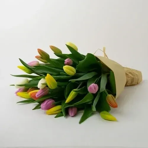 Tulips multicolored (25 pc.)