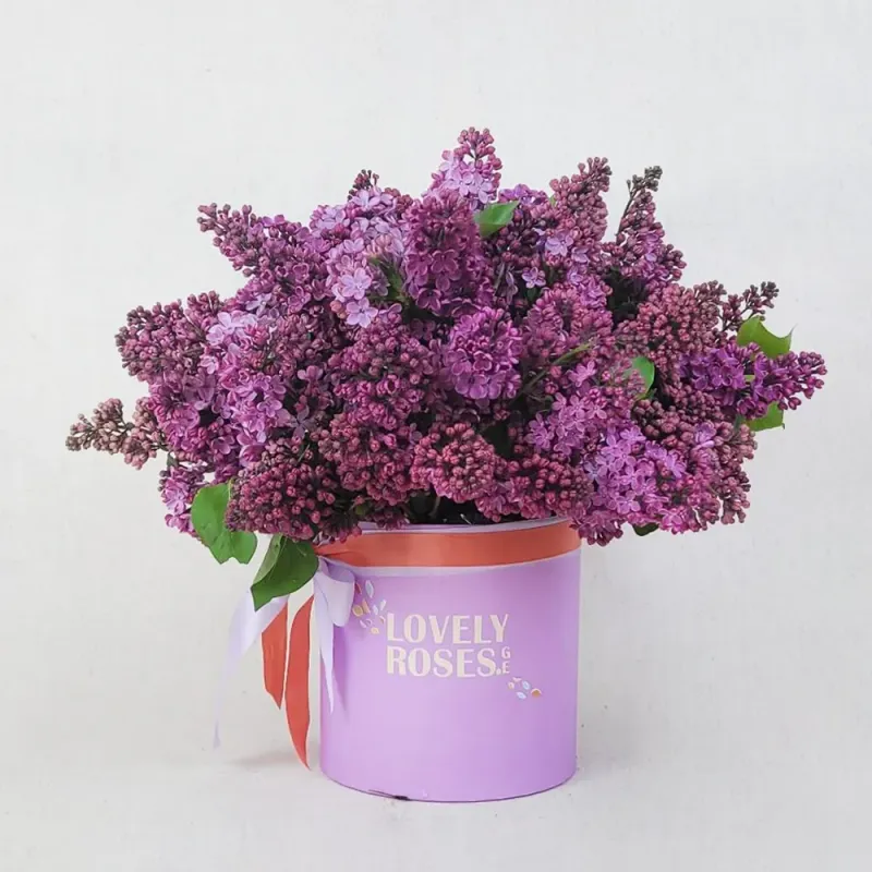 Box of lilacs
