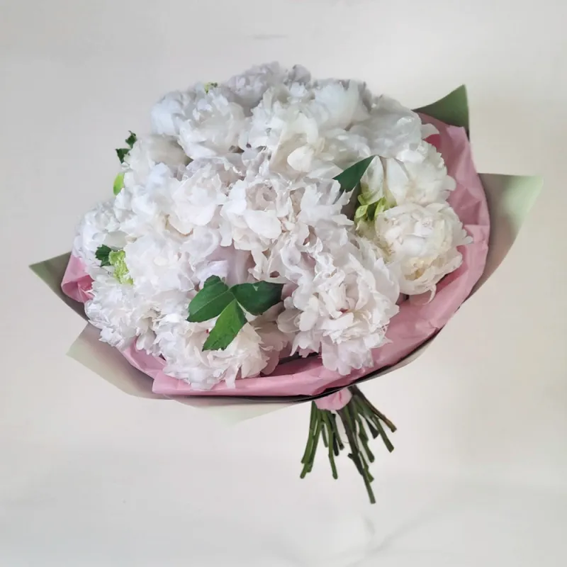 Georgian peonies - white (from 6 to 60)