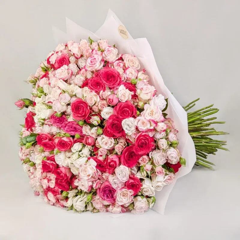 Colorful spray roses (100)