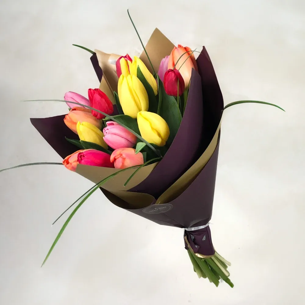 Dutch tulips (15 pc)