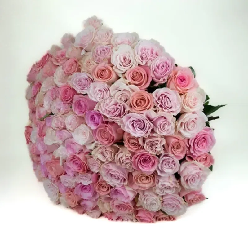 121 Pink roses