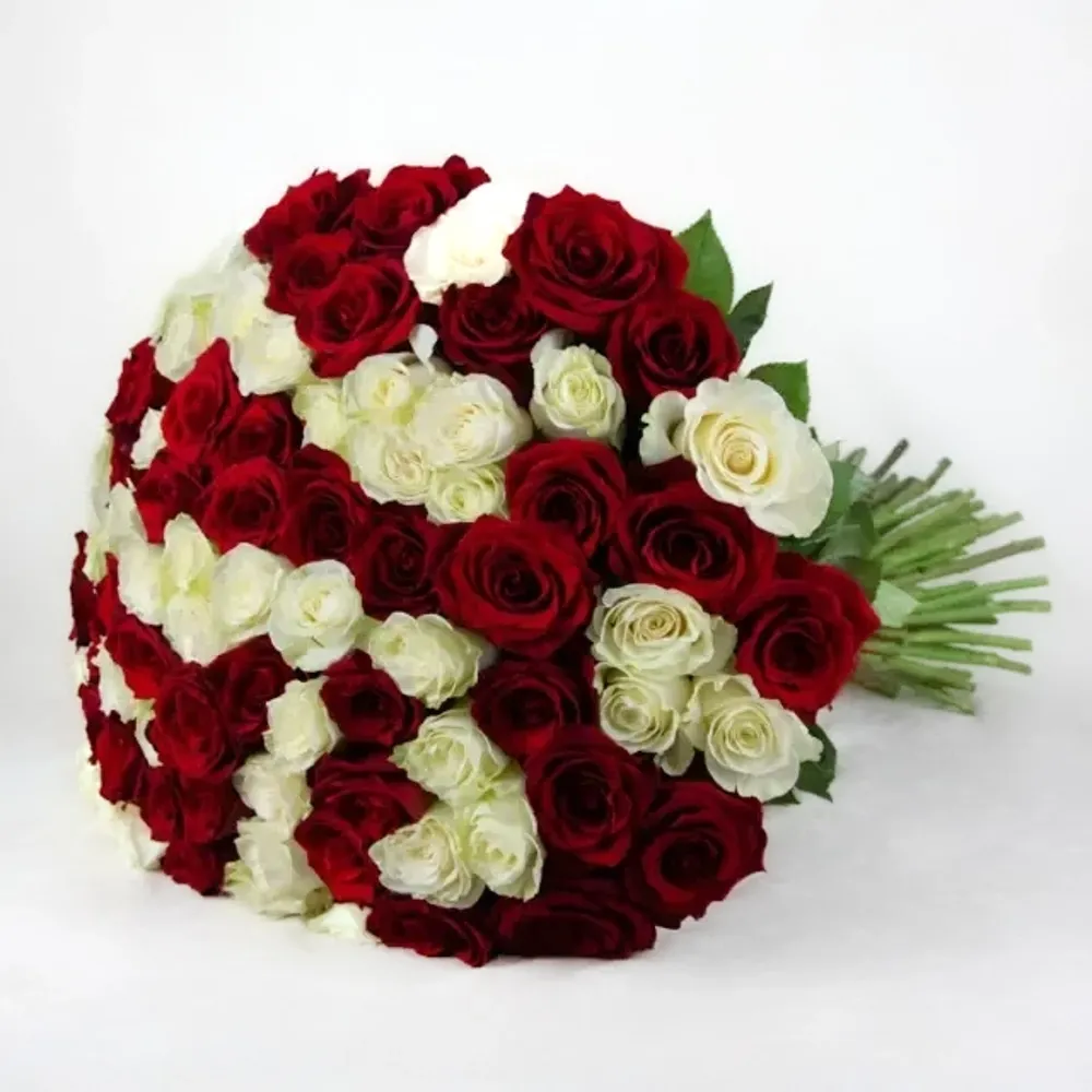 Red and White 80 roses bouquet