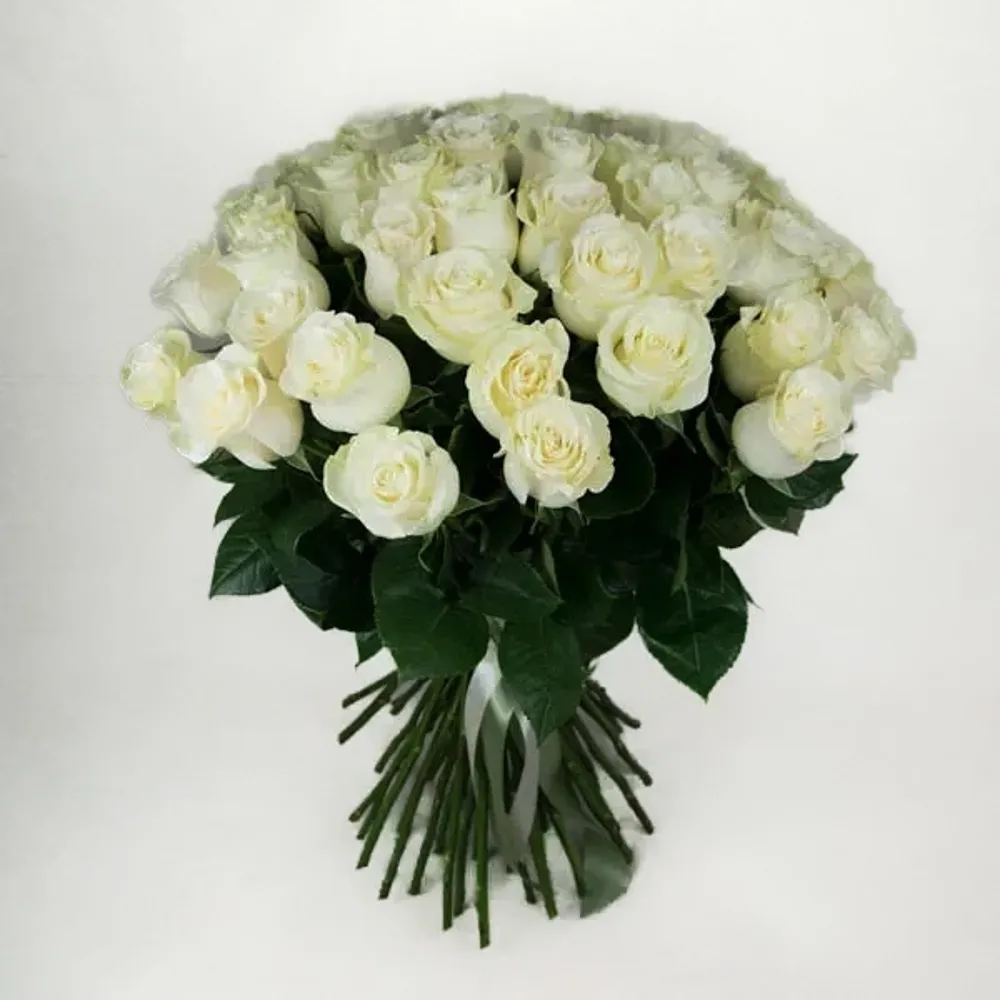Bouquet of white long stemmed roses (50 roses)