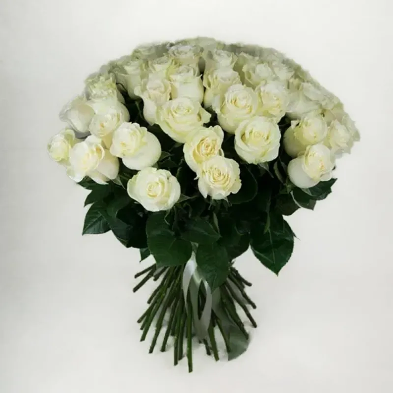 Bouquet of white long stemmed roses (50 roses)