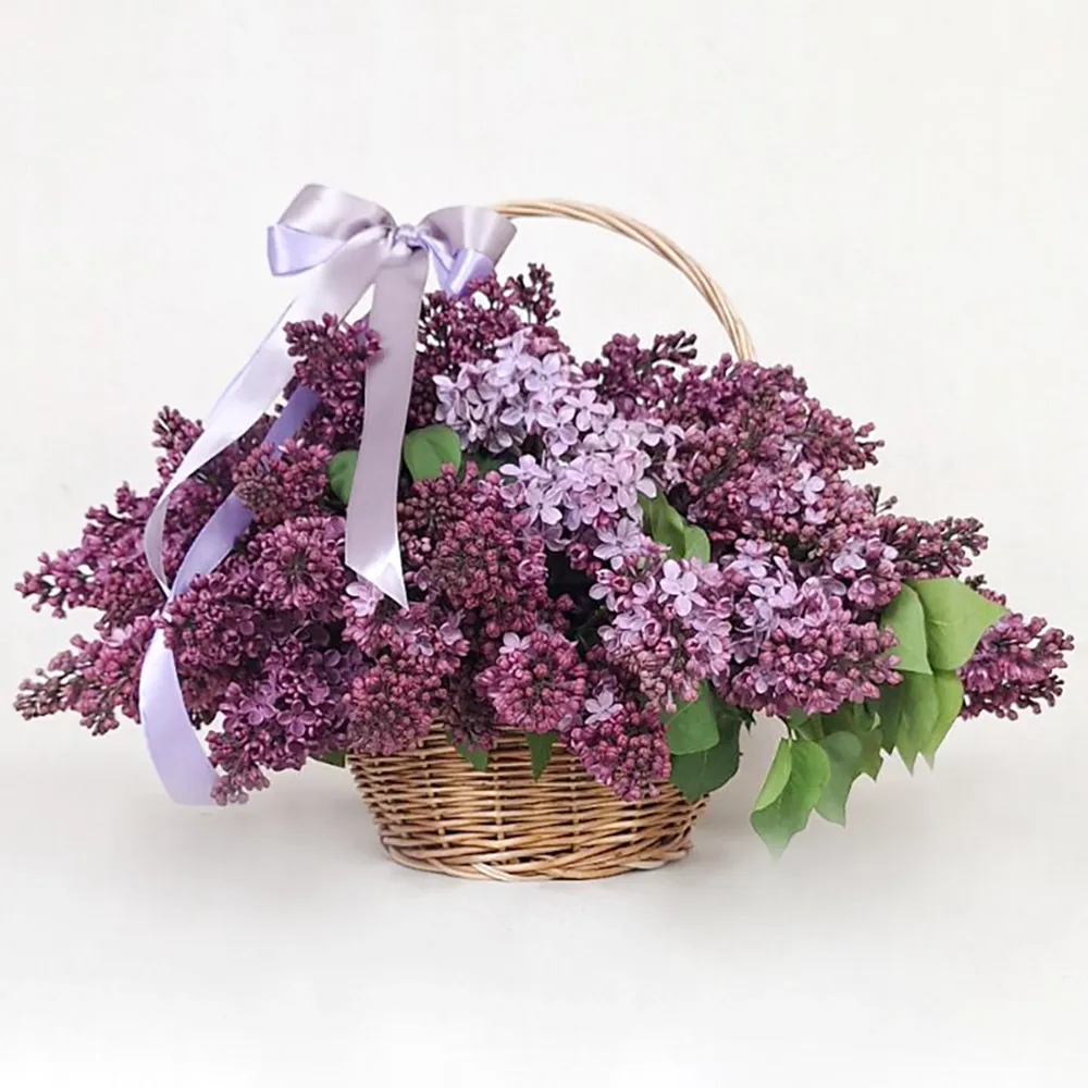 Basket of lilac