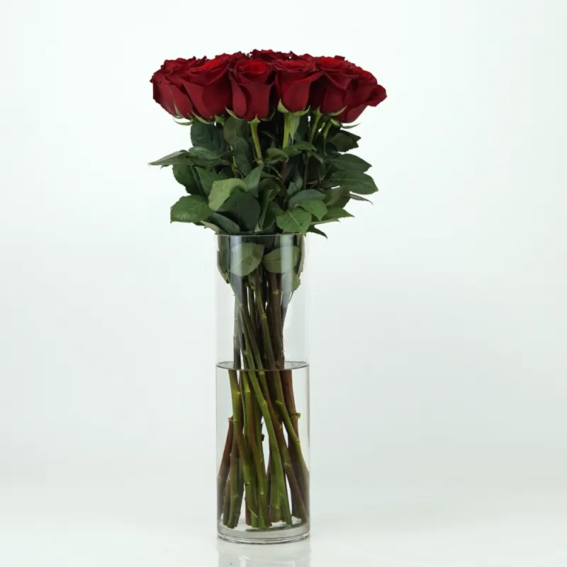 Высокие красные розы (от 8 до 301 розы)