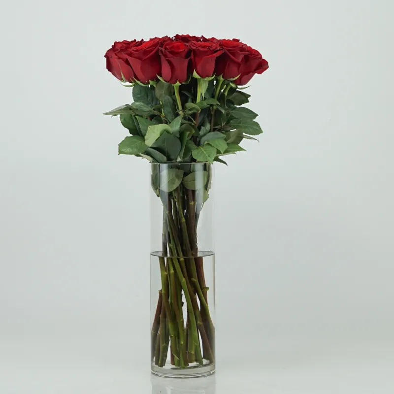 Red roses (from 8 to 301)