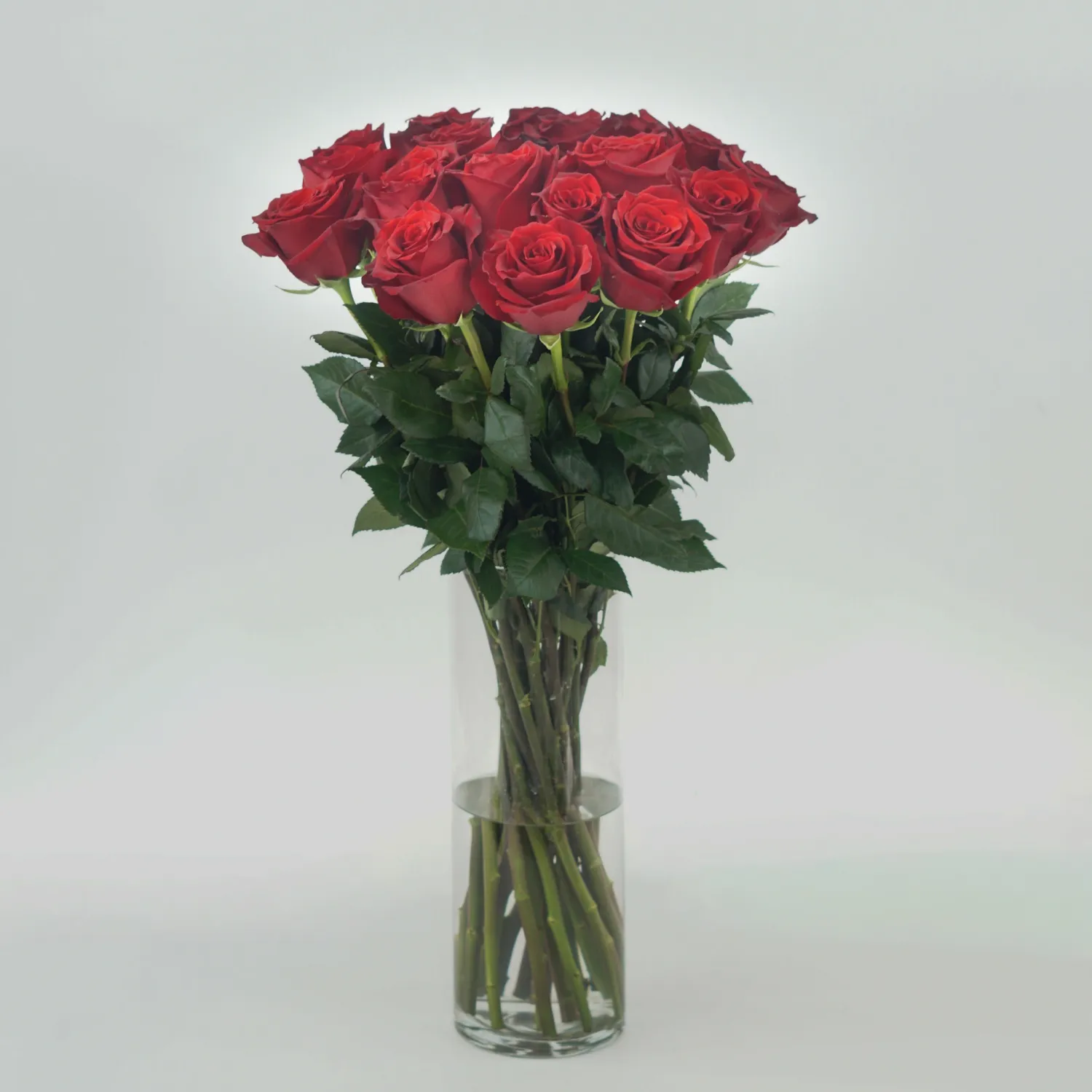 Red roses (from 13 to 301)