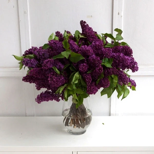 Lilac bouquet