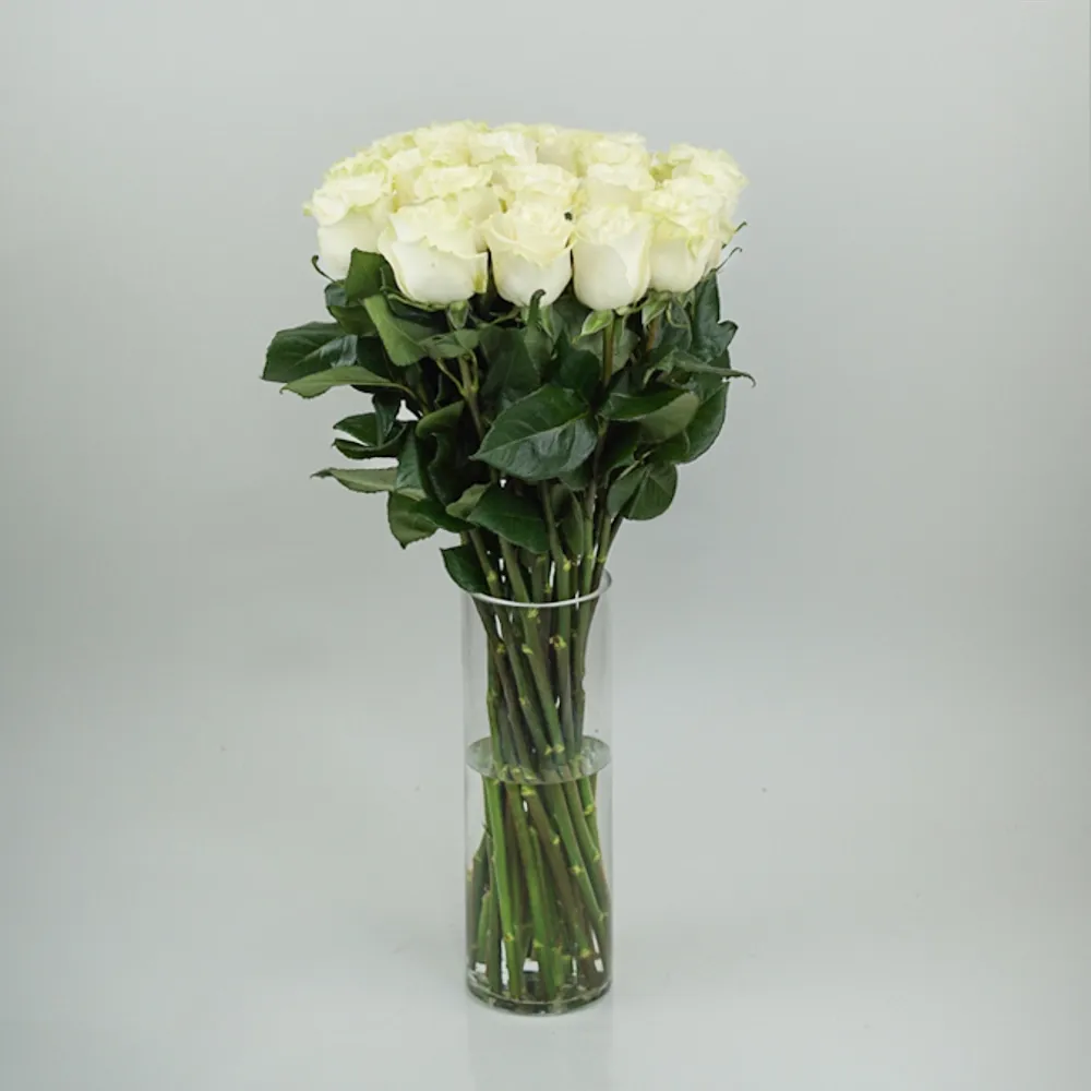 Tall White Rose (from 8 to 301)