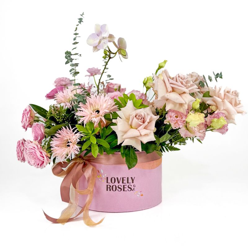 Composition with a plant Palaneopsis. B12