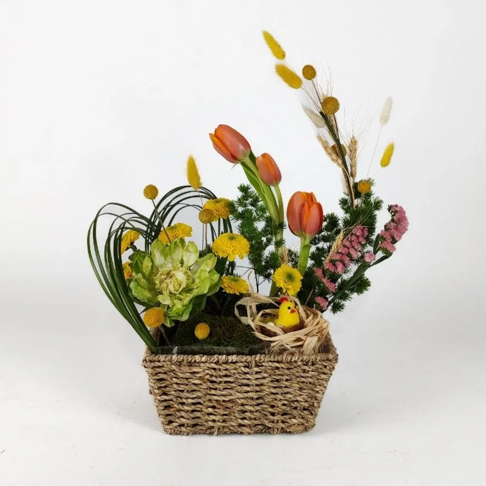 Sunbeam in a Basket  B17