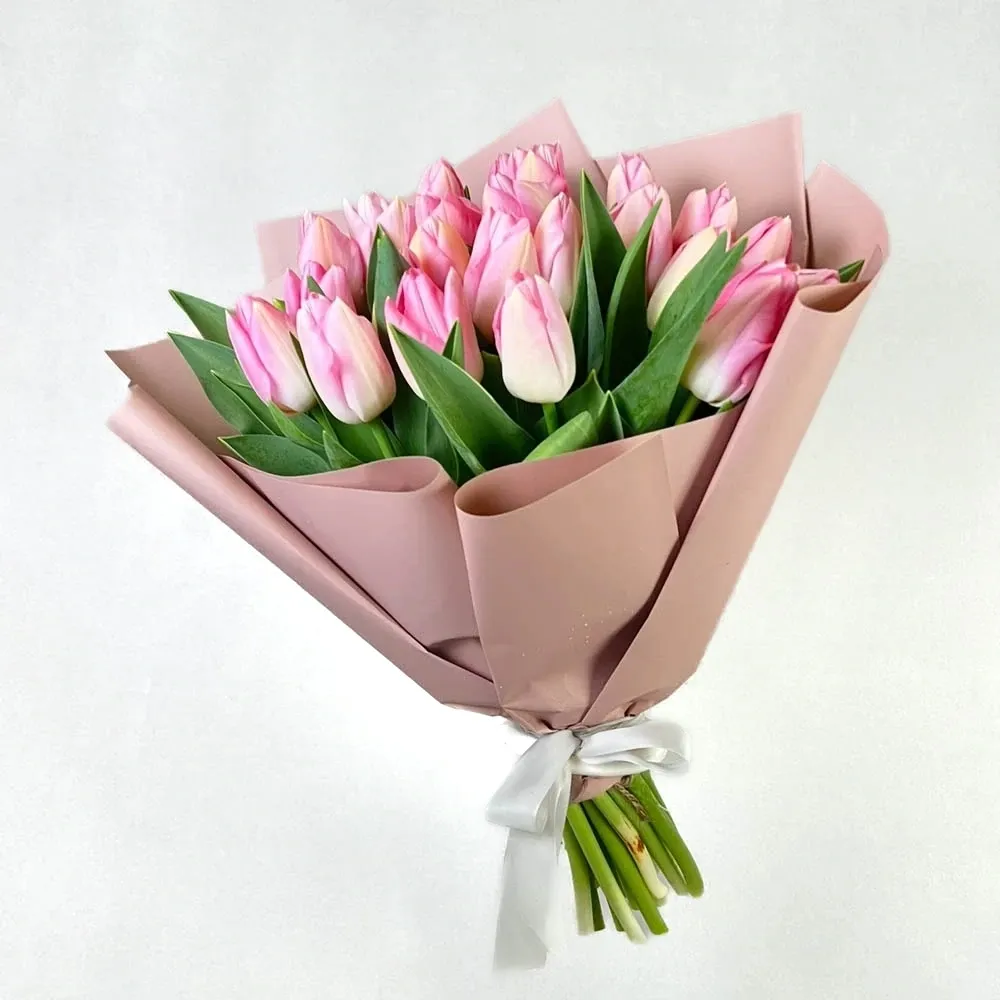 Pink tulips (25 pc.)
