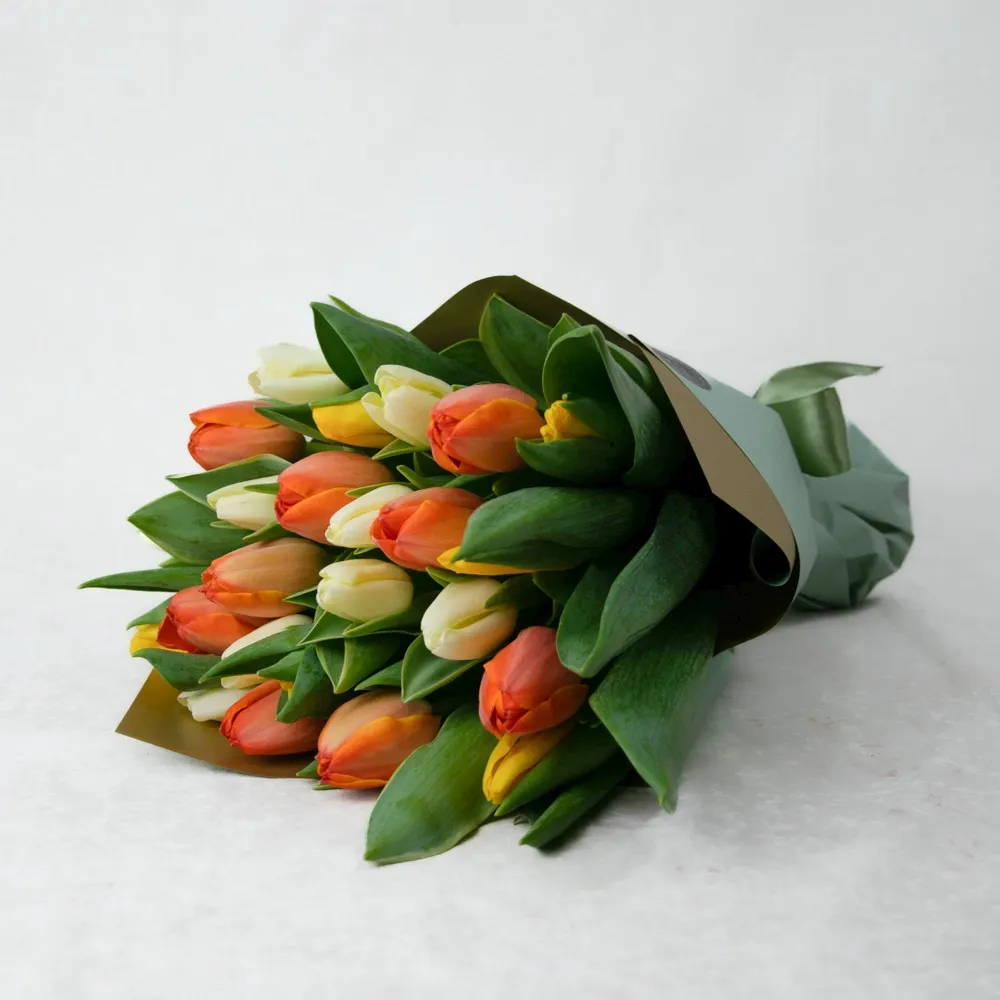 Mixed colored tulips (25 pc.)