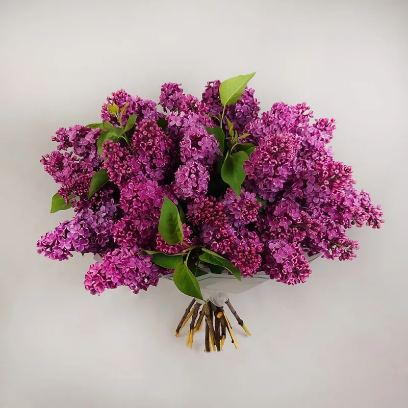 Bouquet with lilacs