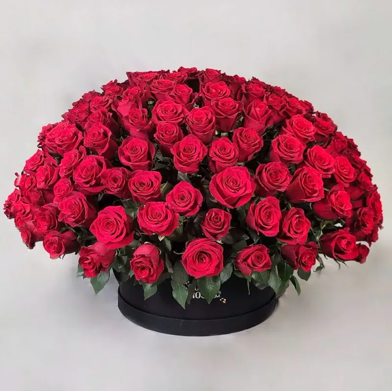 Red roses in a black box (200 pcs)