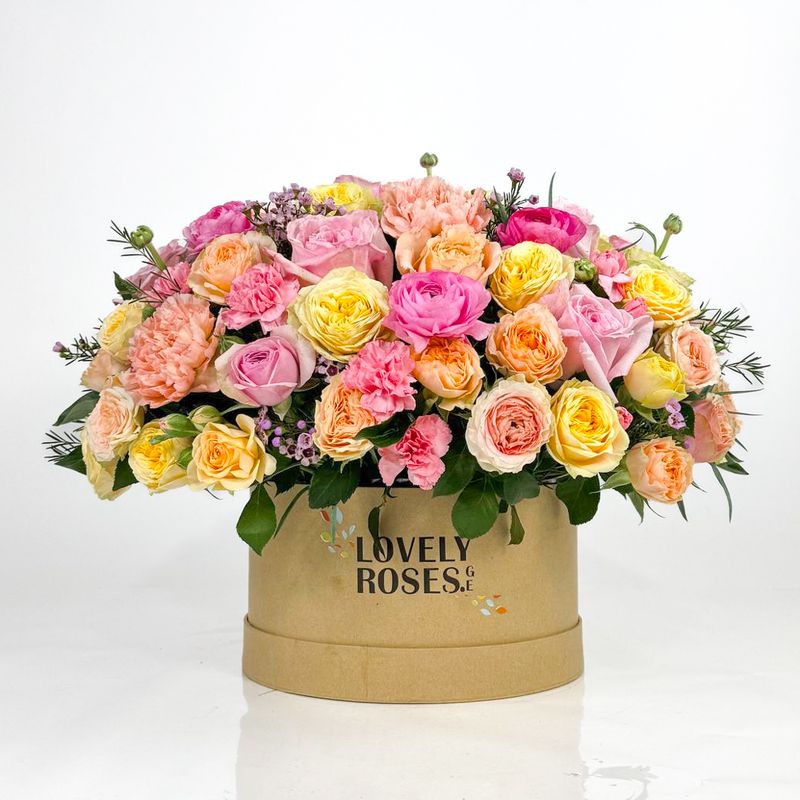 Композиция B27