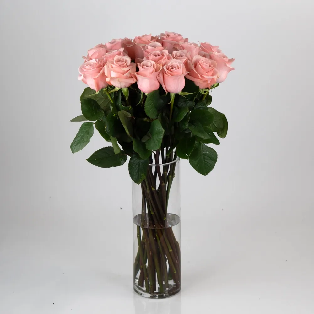 Tall Pink Rose (from 8 to 301)