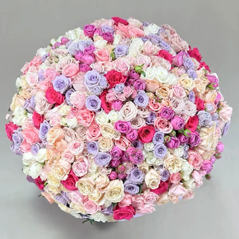 Colorful spray roses (100)