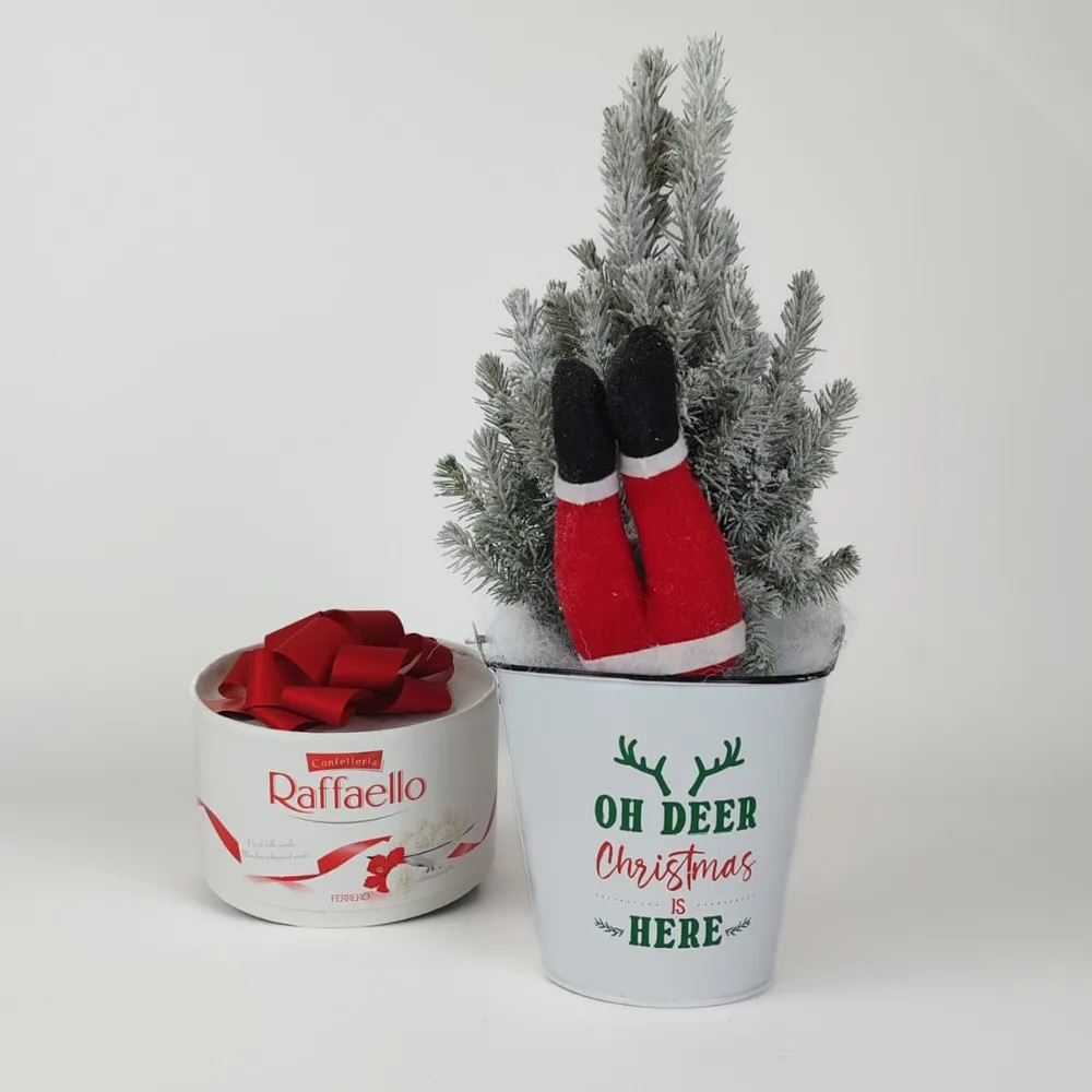 Small Christmas tree with Raffaello