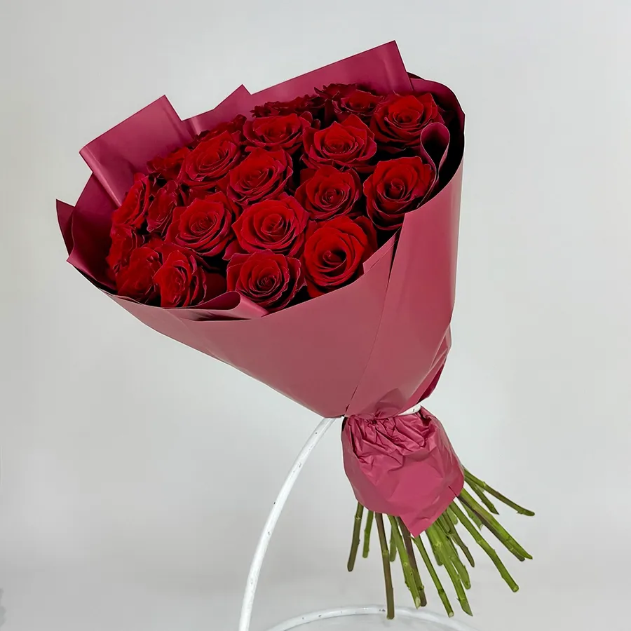Premium Ecuador Red Roses (25 pcs)