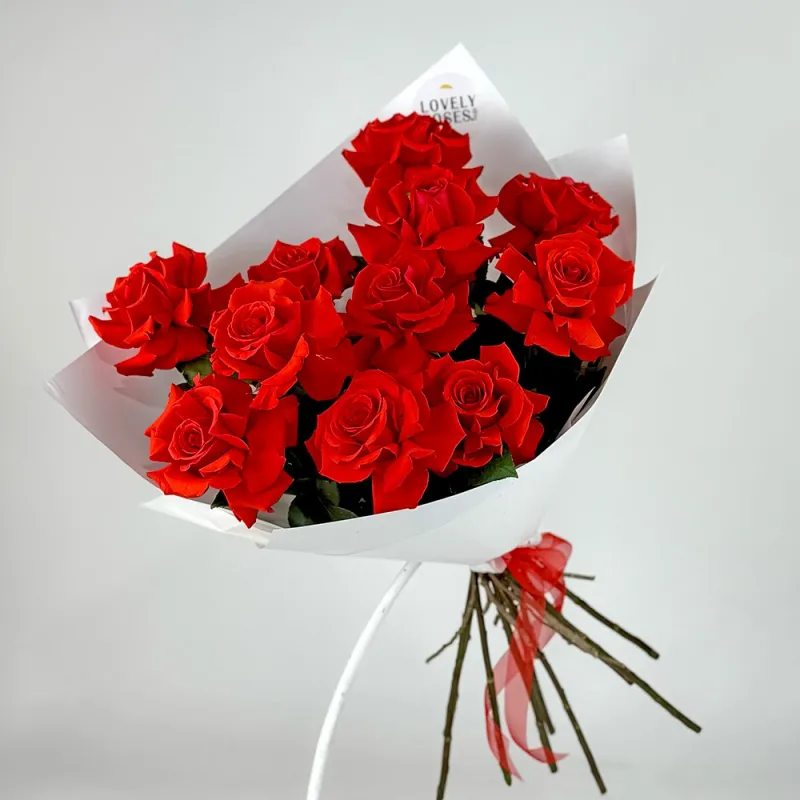 Red Passion (11 Roses)