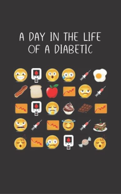 A Day in the Life of a Diabetic Logbook - 1 Year