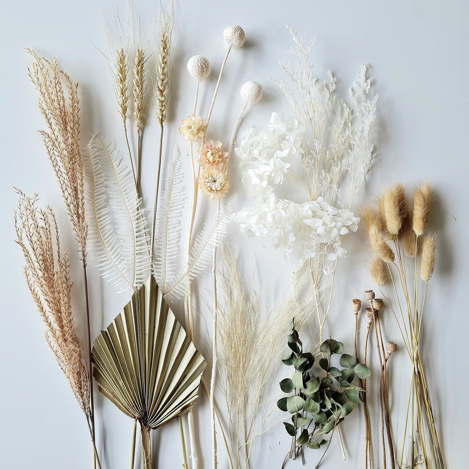Neutral set
