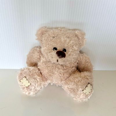 Teddy Bear