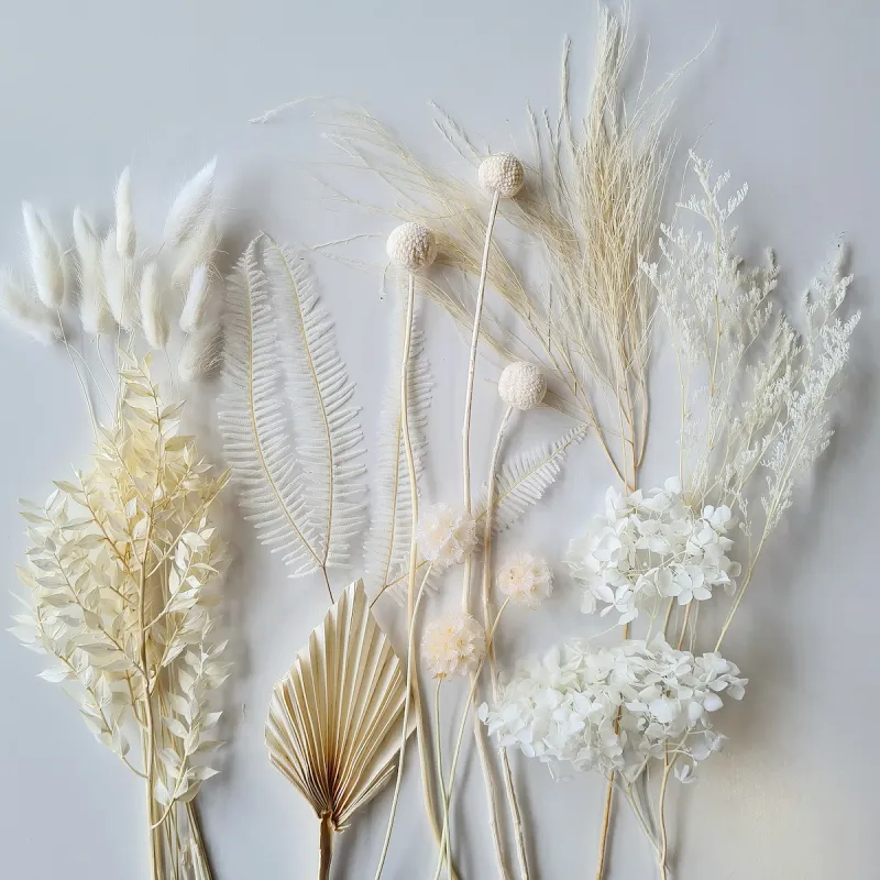 DIY Cake Decorating Sets